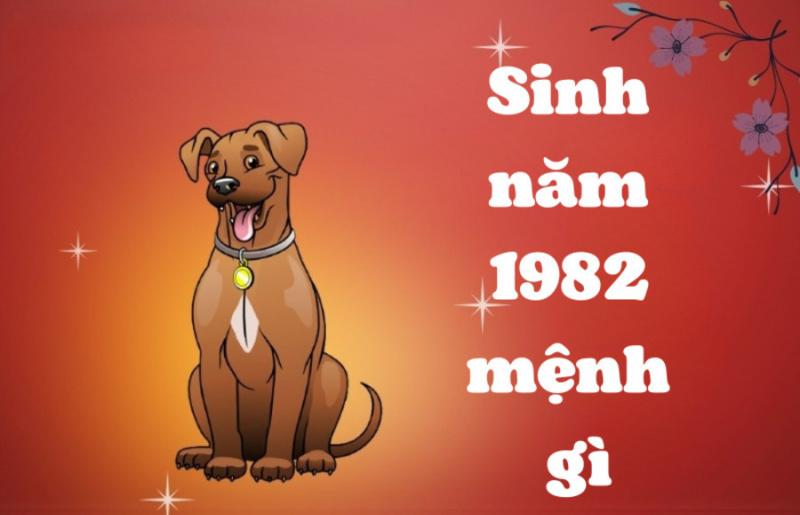 Biểu đồ hoặc hình ảnh minh họa sự tương hợp giữa tuổi Nhâm Tuất 1982 và các tuổi khác trong Ngũ Hành